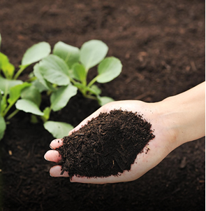 さらさらで扱いやすい堆肥